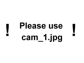 screen grab of webcam stream